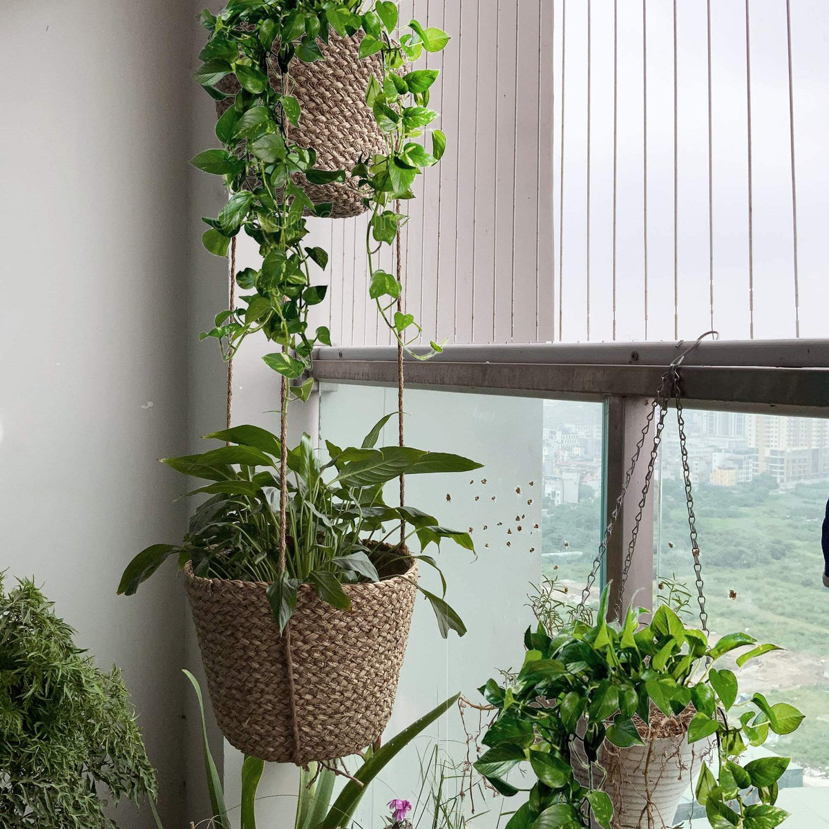Woven Hanging Plant Pot Seagrass Wall Hanging Natural