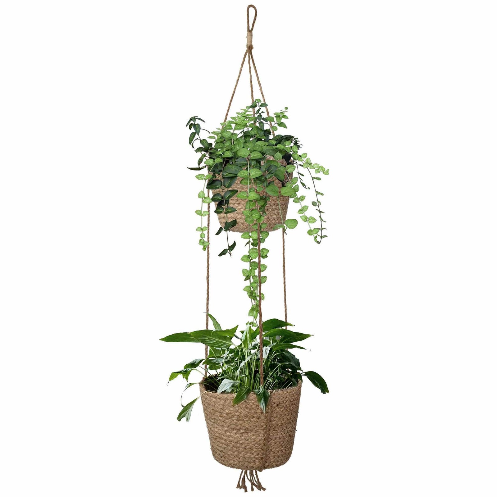 Woven Hanging Plant Pot Seagrass Wall Hanging Natural