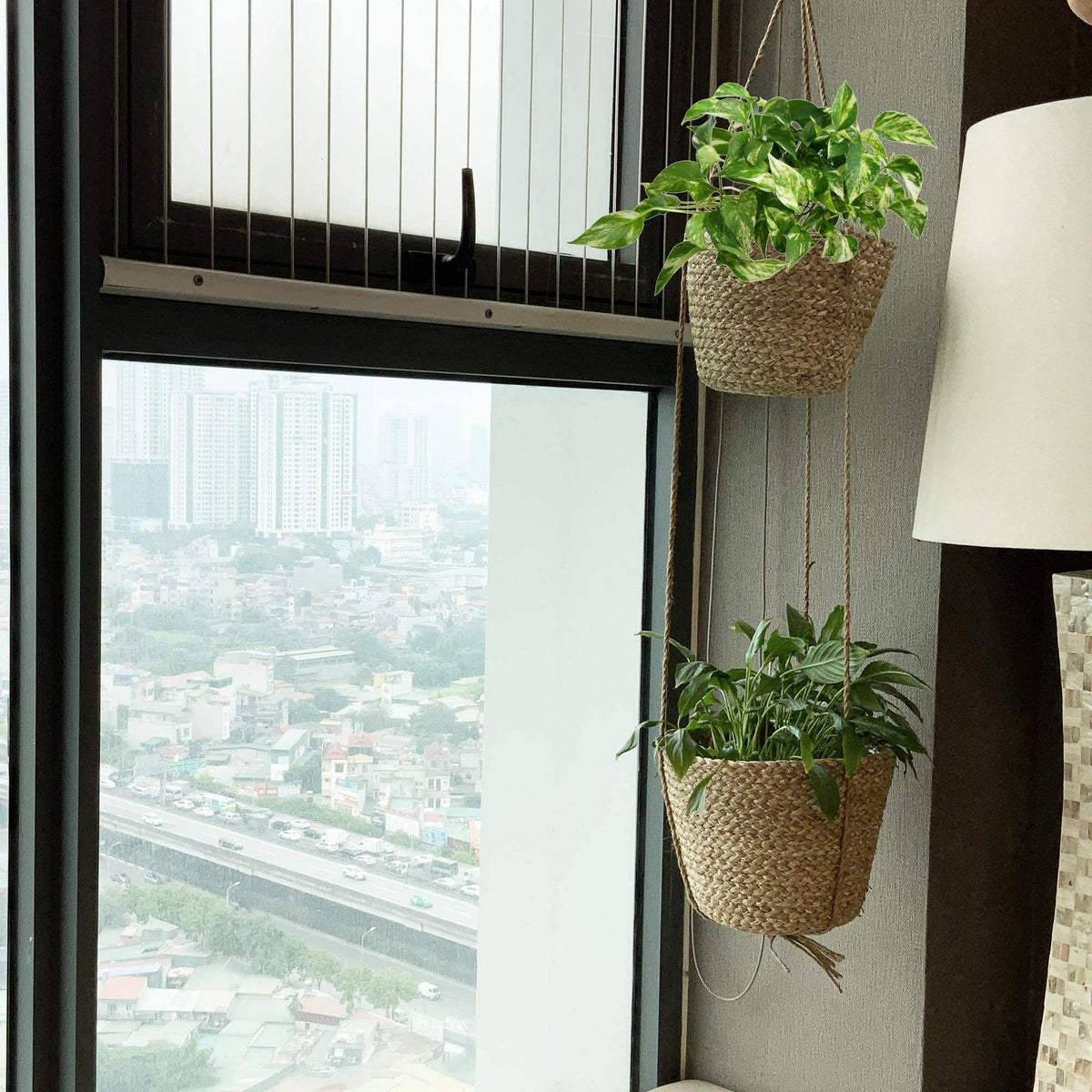 Woven Hanging Plant Pot Seagrass Wall Hanging Natural